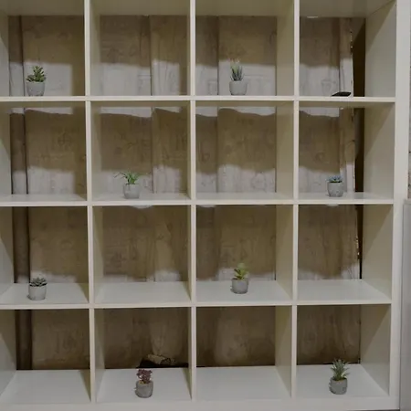 Апартаменты Center Typical